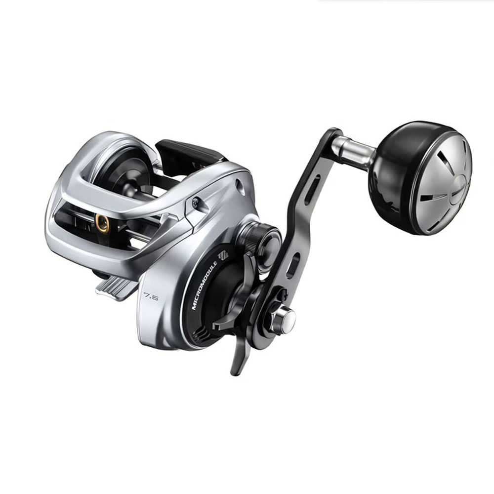 2026 SHIMANO TRANX 400 Baitcas - Daiwa Reel Bg review and price